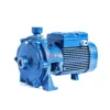 Bomba de agua Pedrollo 2CP 25/16B centrífuga doble impulsor