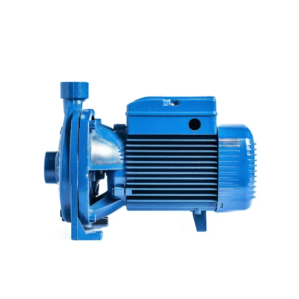 Bomba de agua Pedrollo CP 650 centrífuga hierro fundido