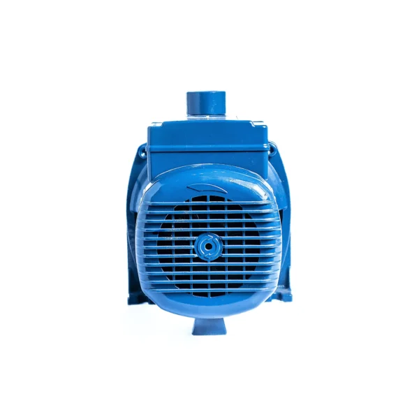 Bomba de agua Pedrollo CPm 650 centrífuga monofásica hierro fundido