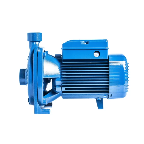 Bomba de agua Pedrollo CPm 660 centrífuga monofásica hierro fundido