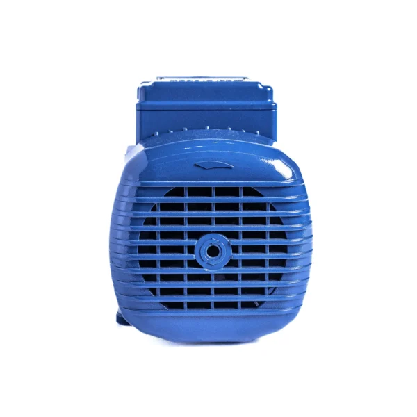 Bomba de agua Pedrollo PKm 90 periférica monofásica hierro fundido